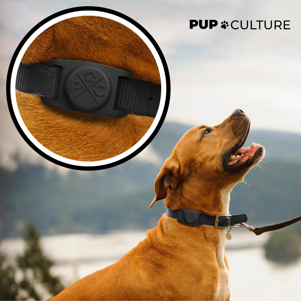 Pup Culture silicona duradera para AirTag en collar, protección contra golpes.