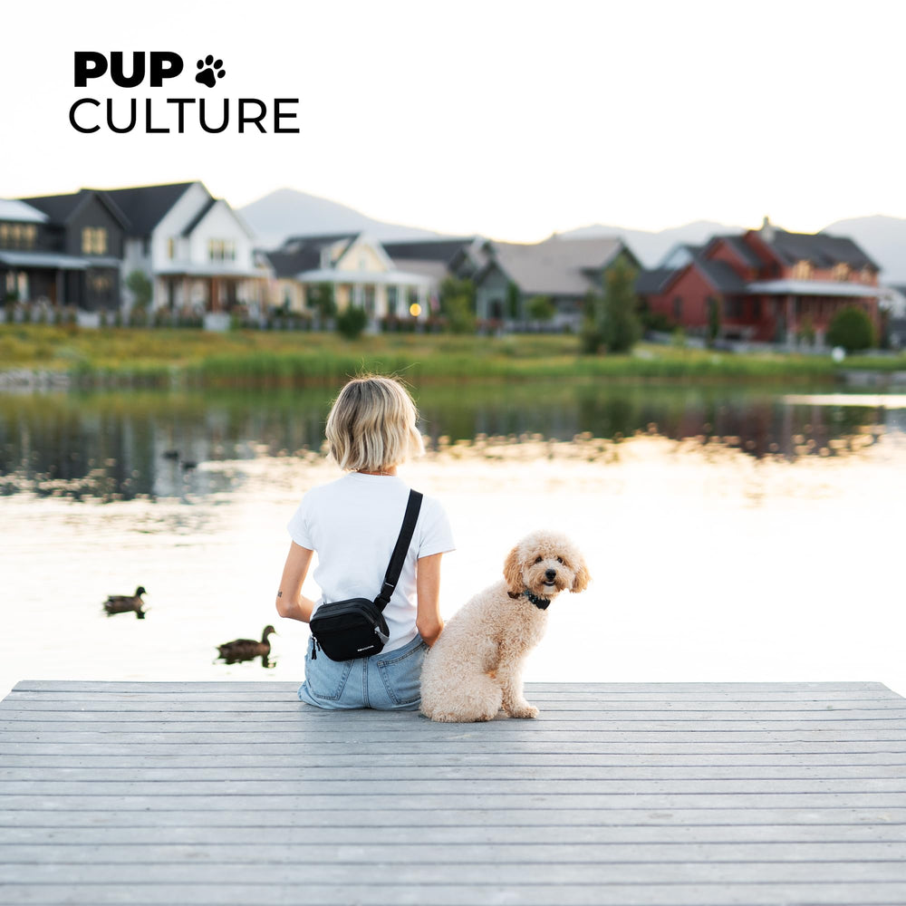 Pup Culture: entrenamiento cómodo y práctico durante el paseo.