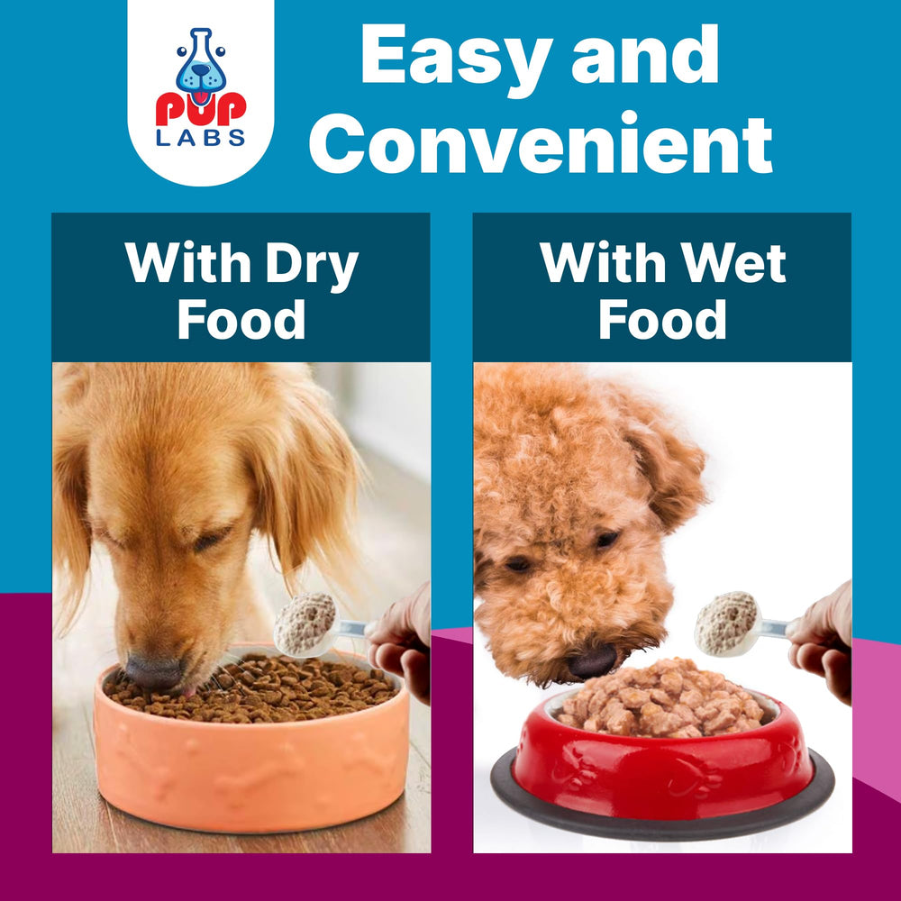 Superalimentos para estómago canino con K9 Belly Bliss, apoyo a la digestión.