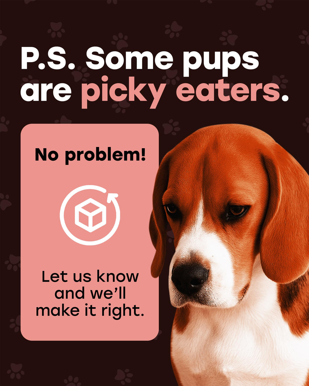 Pup Choice ayuda al pelaje y músculo con proteína concentrada.
