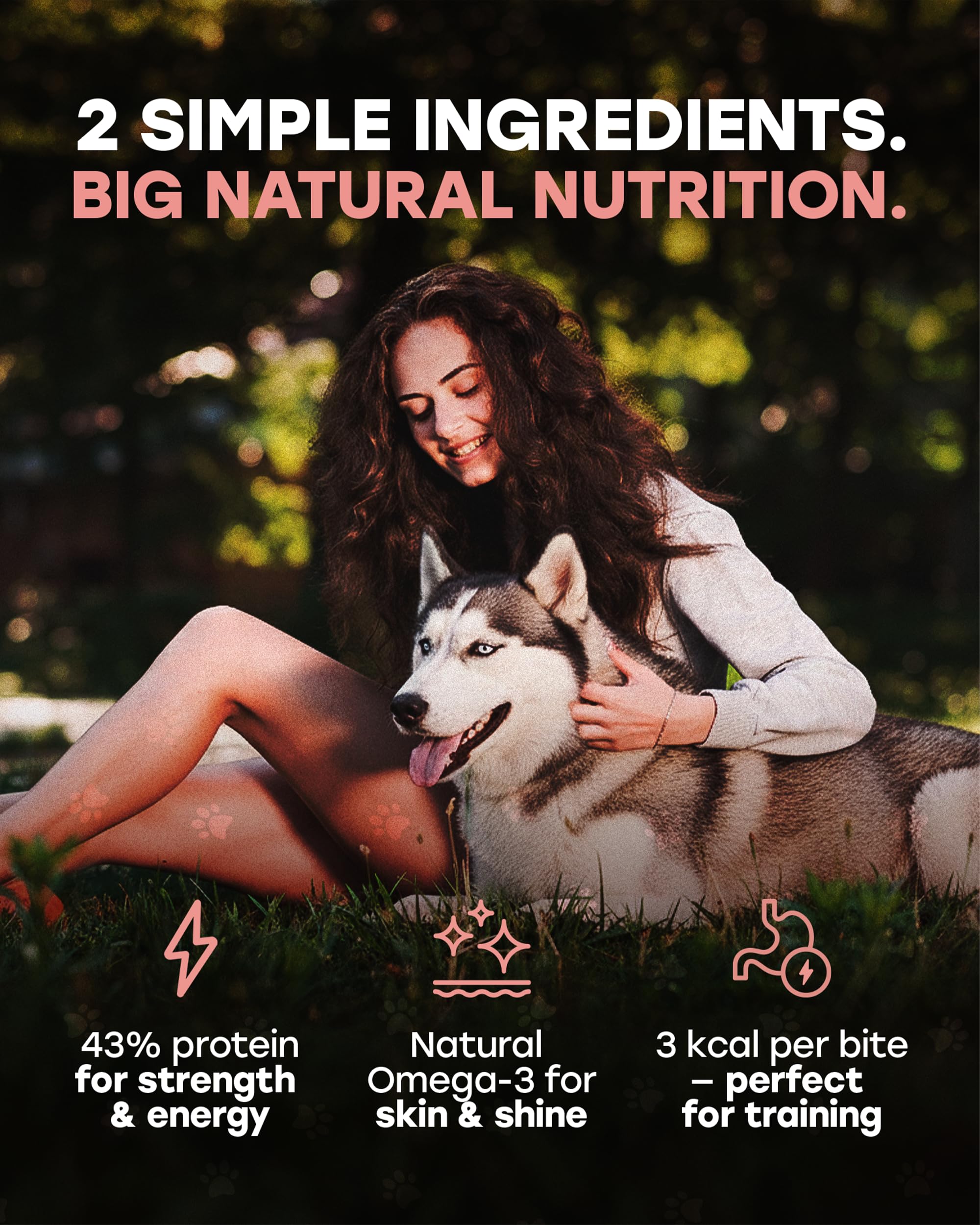Pup Choice Se puede mezclar con comida para un toque sabroso.
