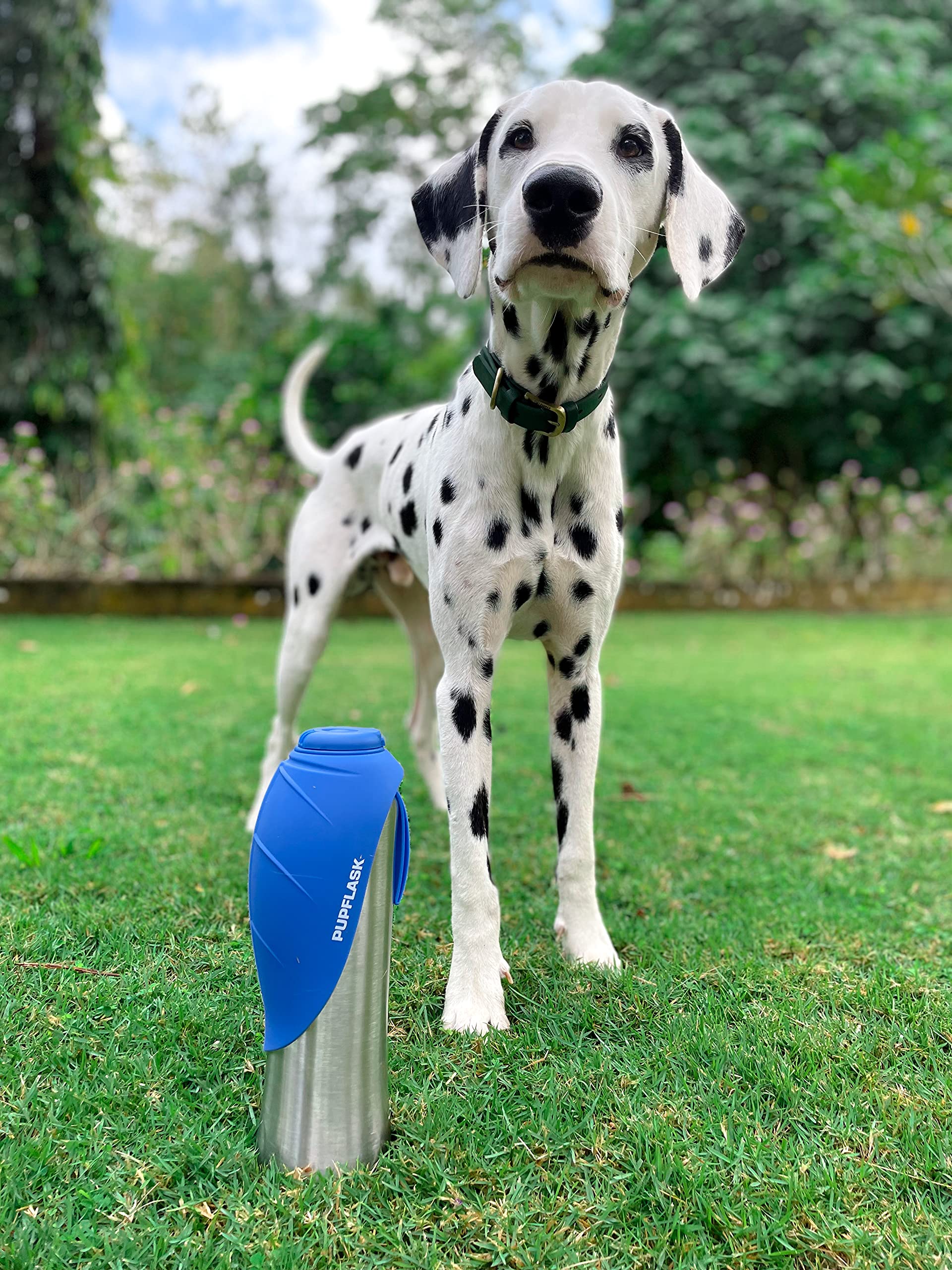 PupFlask ideal para todas las razas, tamaño cómodo para transportar.