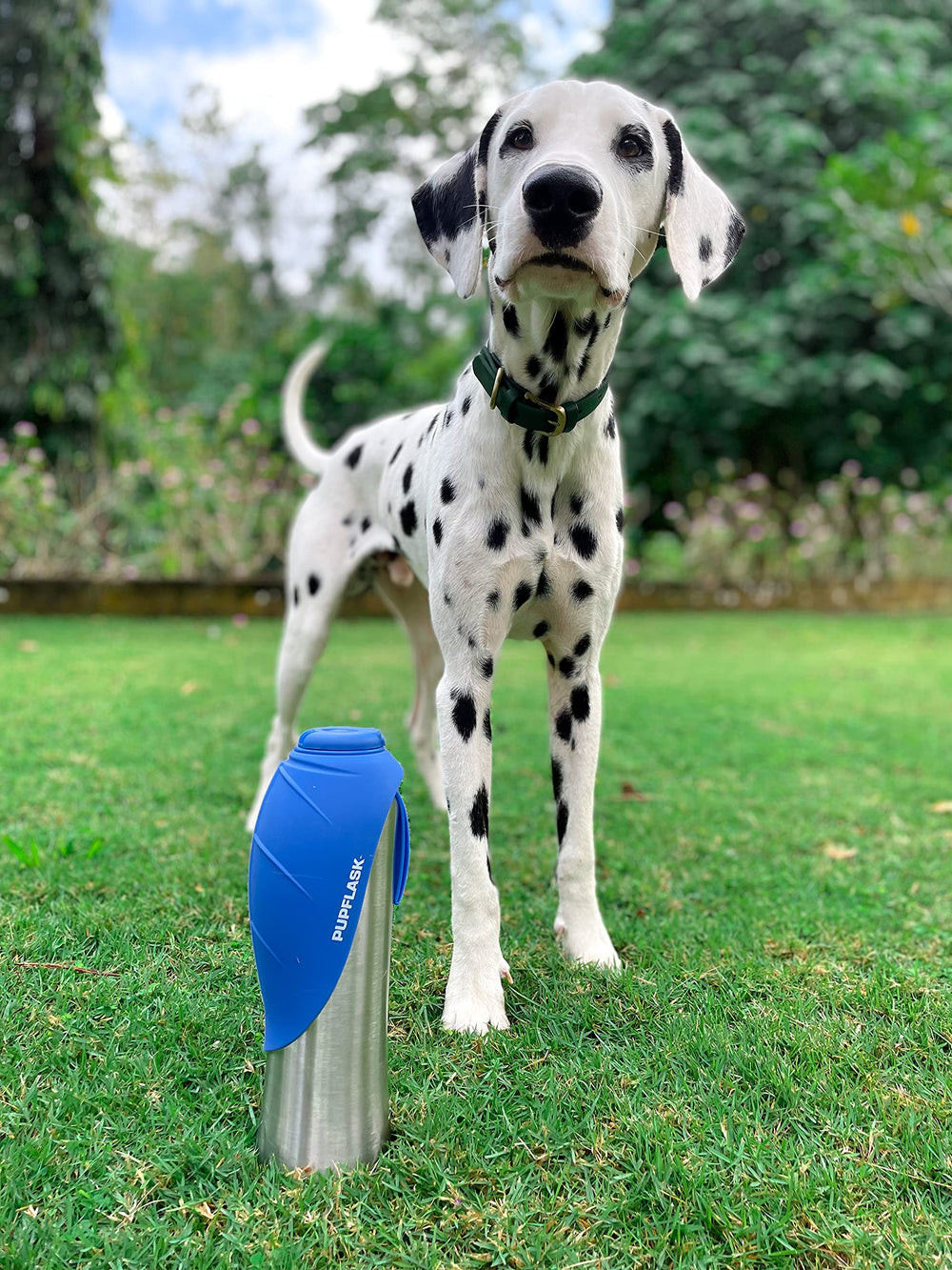 PupFlask ideal para todas las razas, tamaño cómodo para transportar.