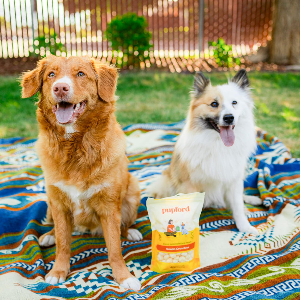 Snack con proteína y calcio para perros en crecimiento de Pupford.