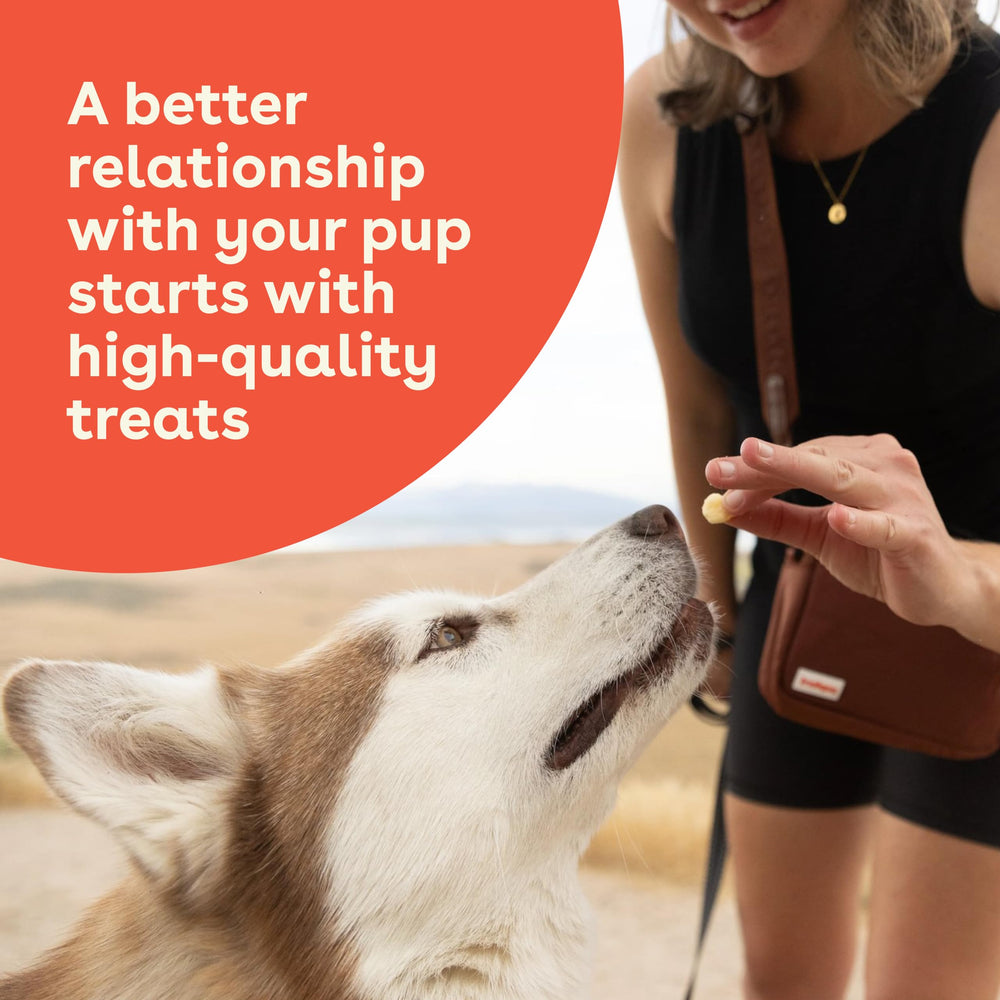 Snack natural Pupford con proteína y calcio para perros.