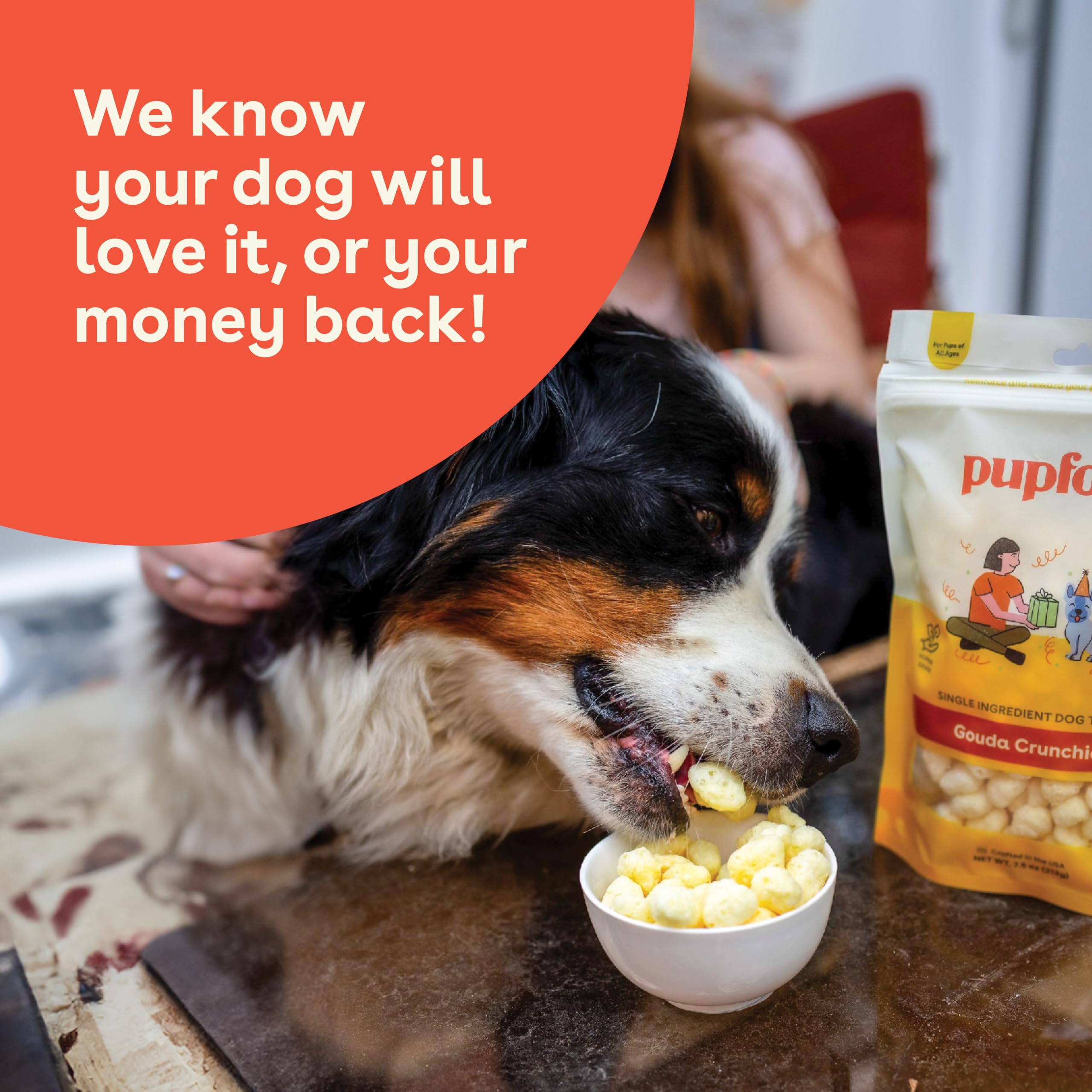 Queso Gouda Pupford como premio ocasional para perros.
