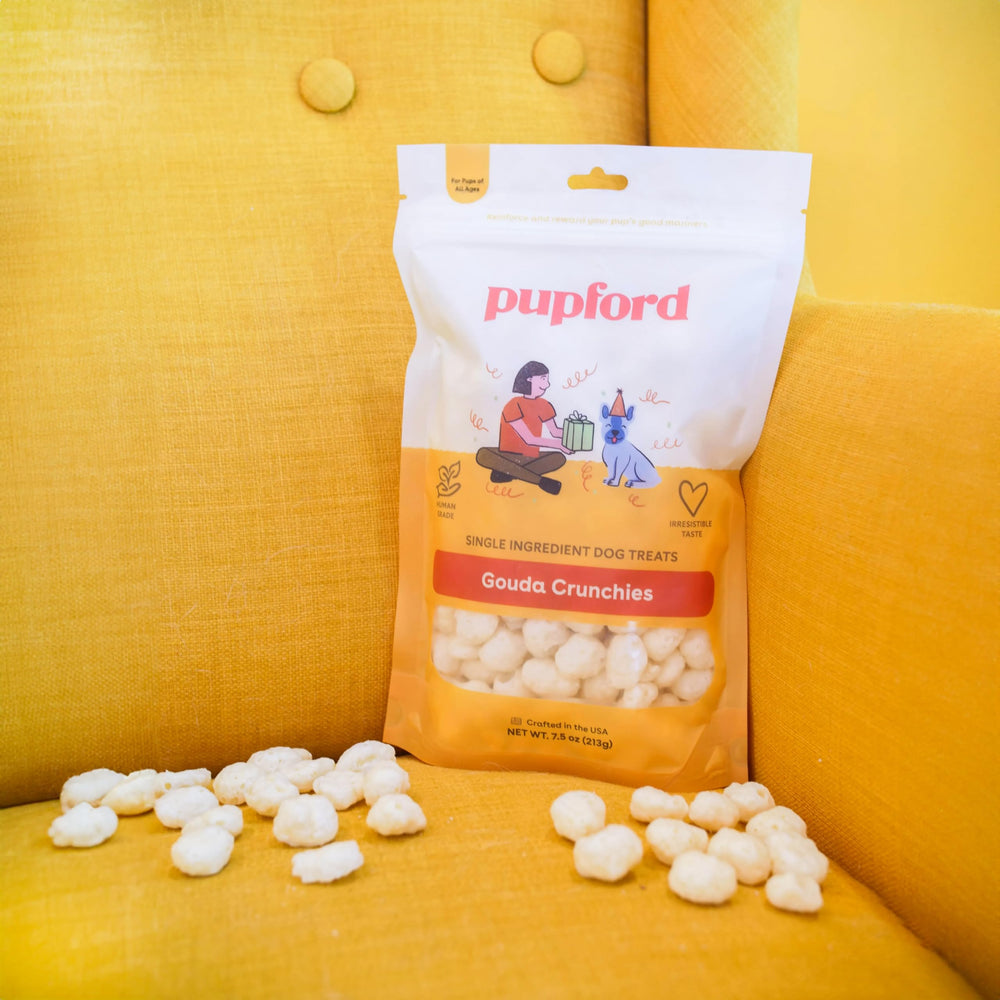 Recompensa durante el entrenamiento con Pupford en casa.