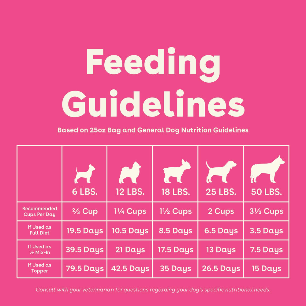 Pupford Good Dog Food: aprobado por veterinarios para respaldo profesional