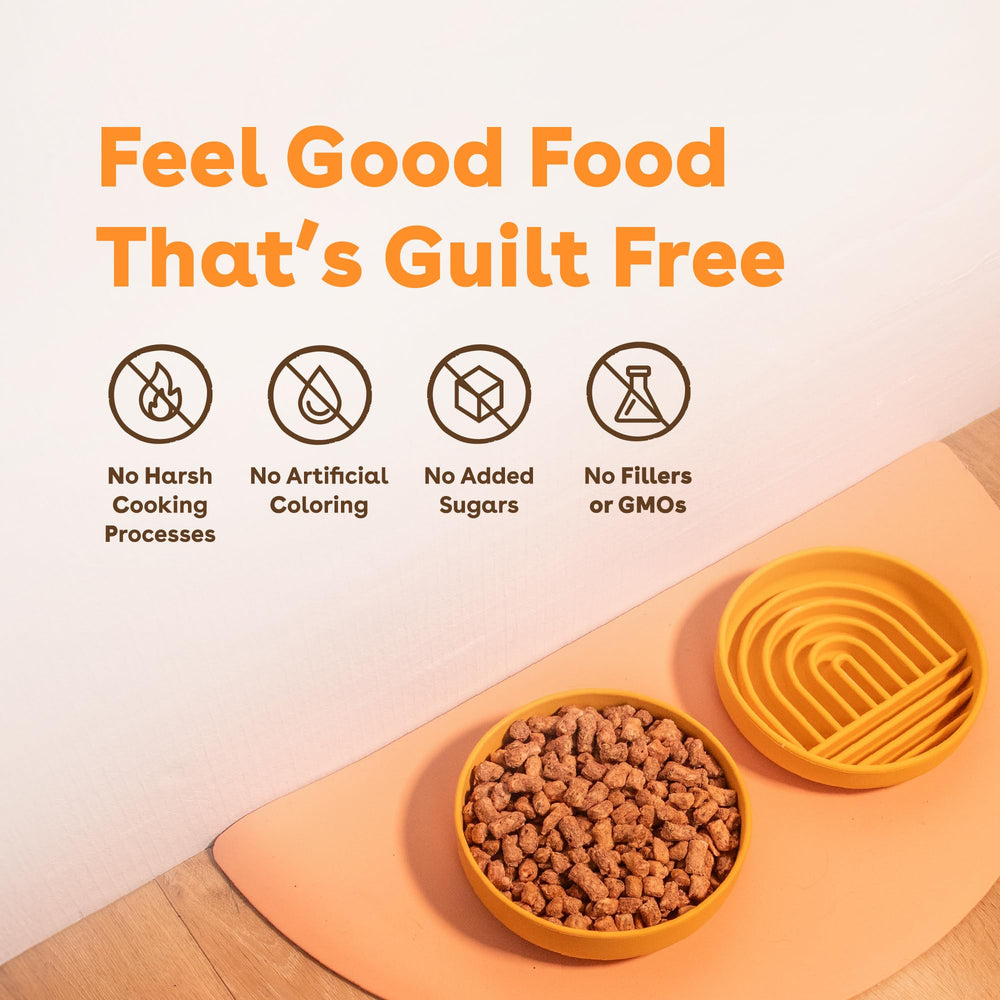 Pupford Good Dog Food muestra ingredientes superalimentos para una nutrición equilibrada