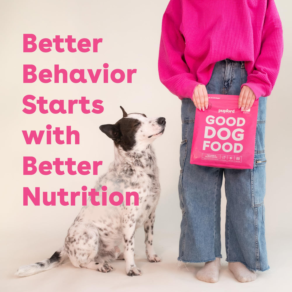 Pupford Good Dog Food: alta proteína para músculos fuertes y vitalidad