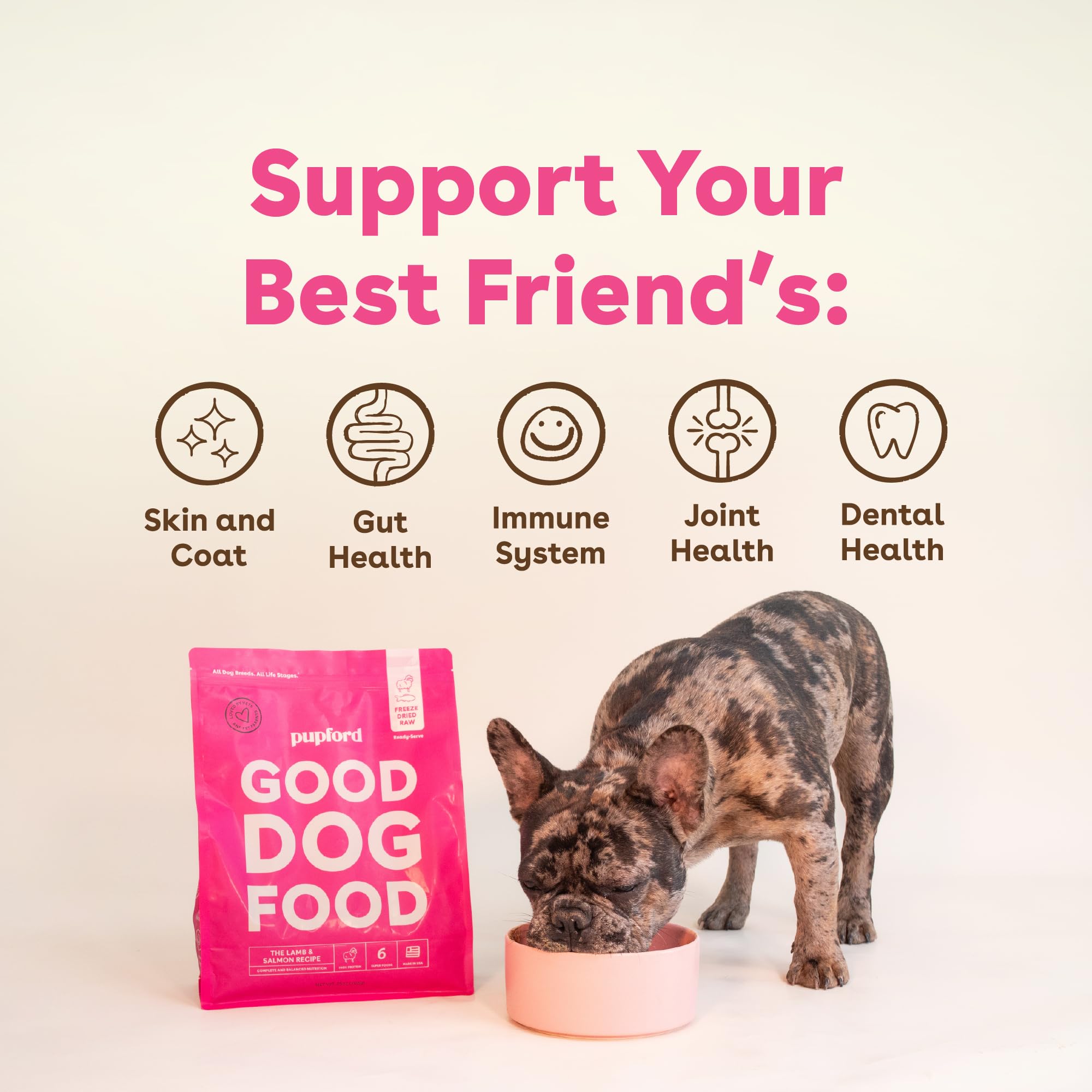 Pupford Good Dog Food: servido en tazón mostrando presentación apetitosa