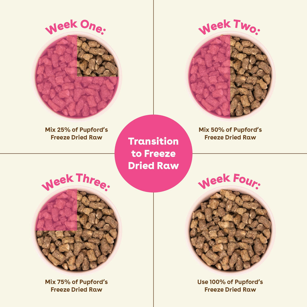 Pupford Good Dog Food: sin rellenos para una dieta limpia