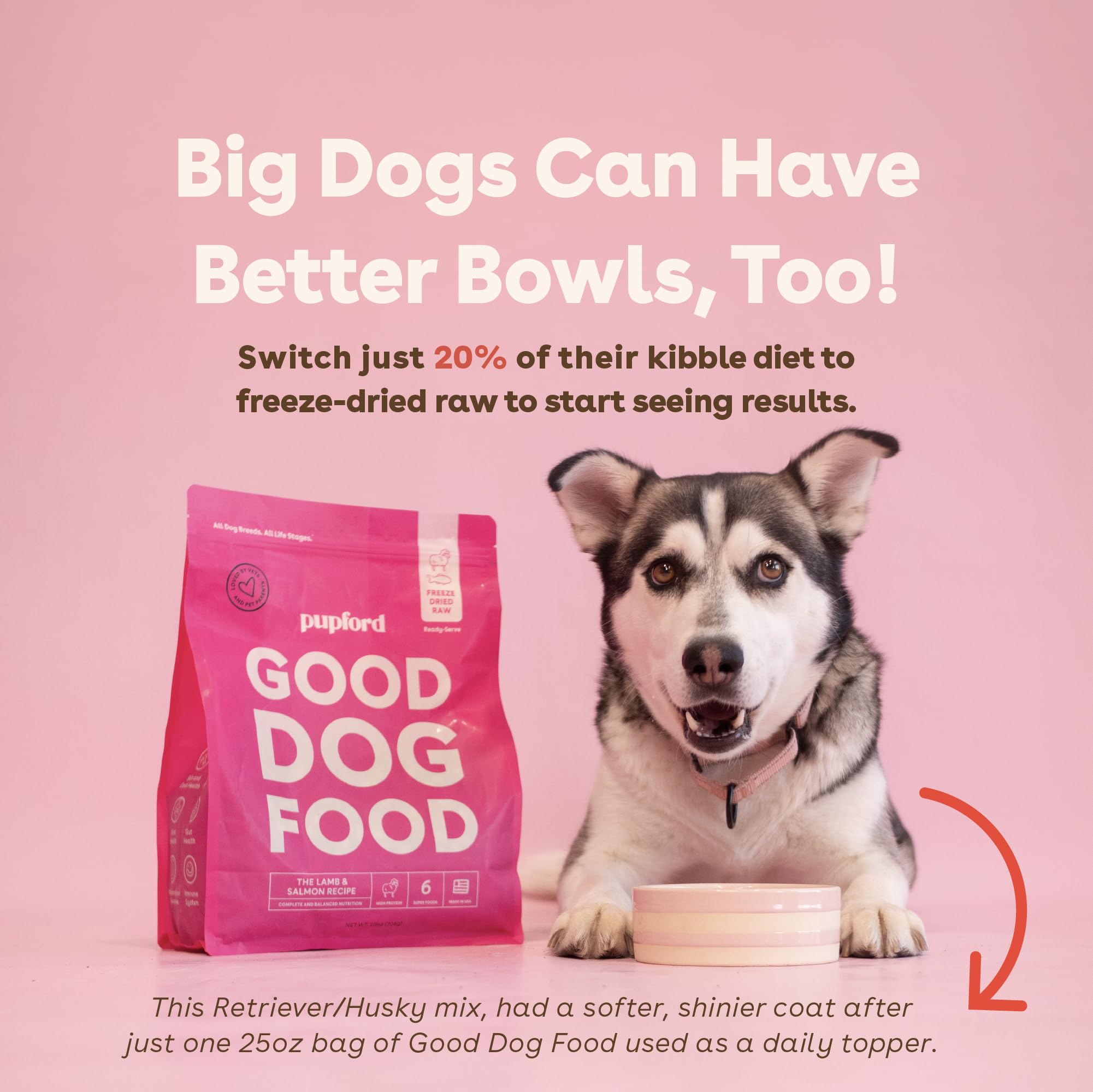 Pupford Good Dog Food sin rellenos ni aditivos artificiales para dieta limpia.
