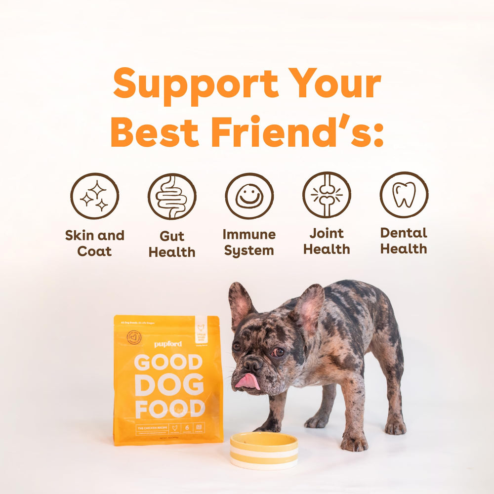 Pupford Good Dog Food sin rellenos para una dieta diaria limpia