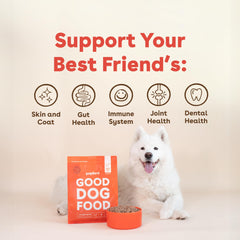 Pupford ingredientes superfoods, mezcla de carne y plantas saludables.