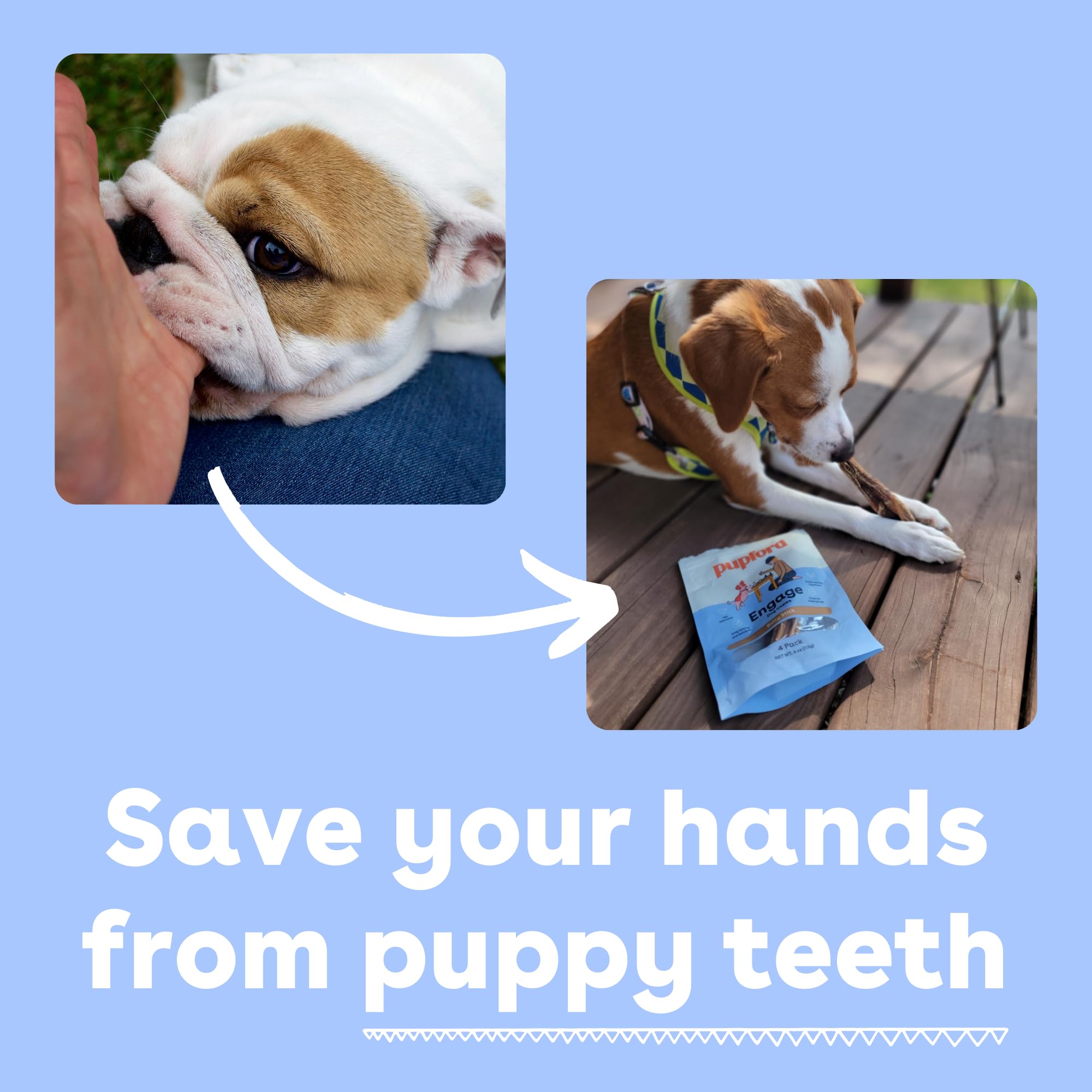 Pupford bully con olor controlado por humo para una experiencia más agradable