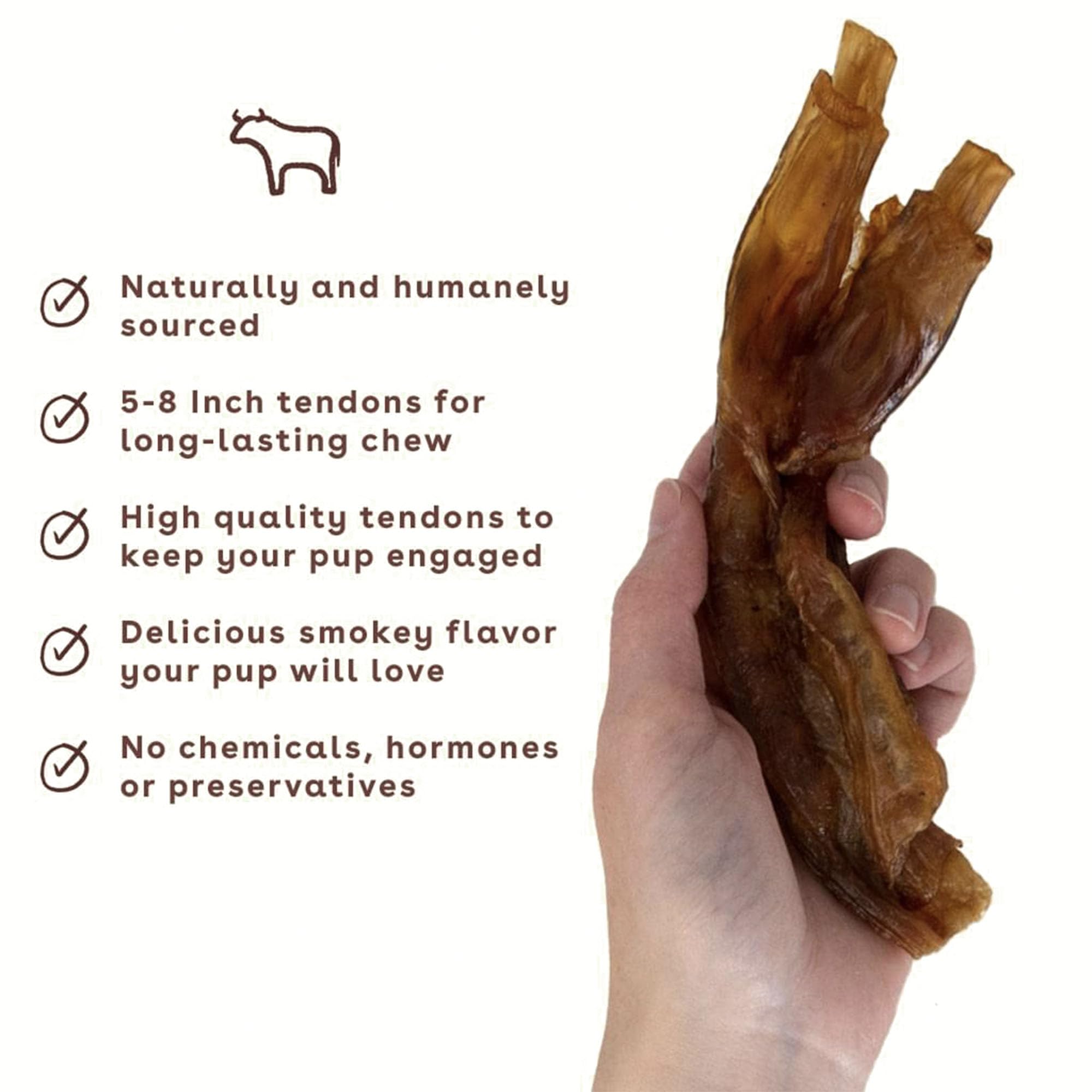 Pupford para cachorros y perros todas las edades: ideal para dentición y juego.