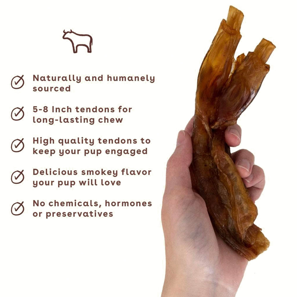 Pupford para cachorros y perros todas las edades: ideal para dentición y juego.