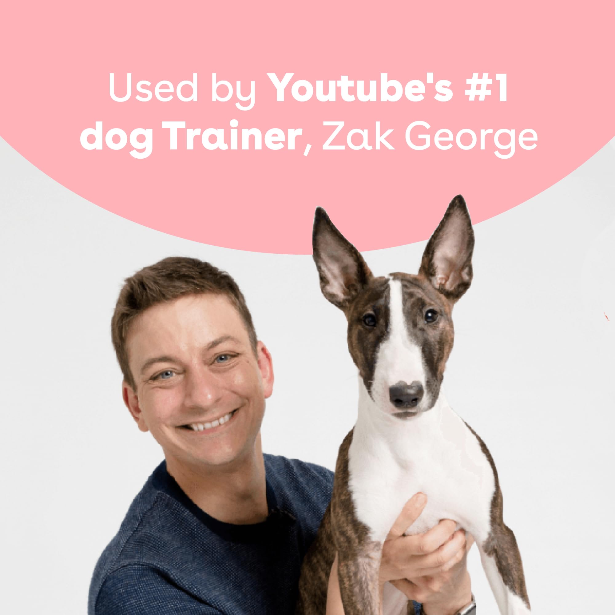 Ideal para perros exigentes: Pupford Premios entrenamiento sabrosos y simples