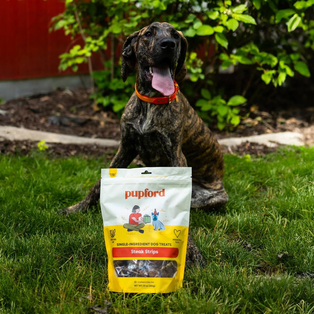 Pupford alta proteína y colágeno para piel y pelaje saludables
