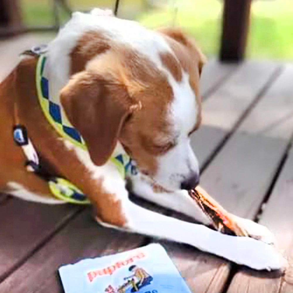 Pupford recompensa-entrenamiento tendones, perfecto para obediencia