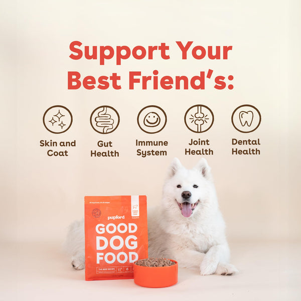 Pupford alimento sin rellenos ni artificiales, opción limpia.