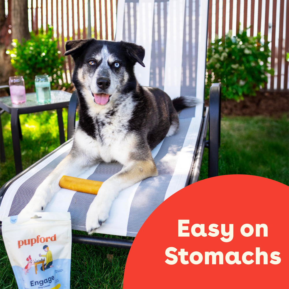 Pupford Yak Cheese Chews: diferentes tamaños para perros