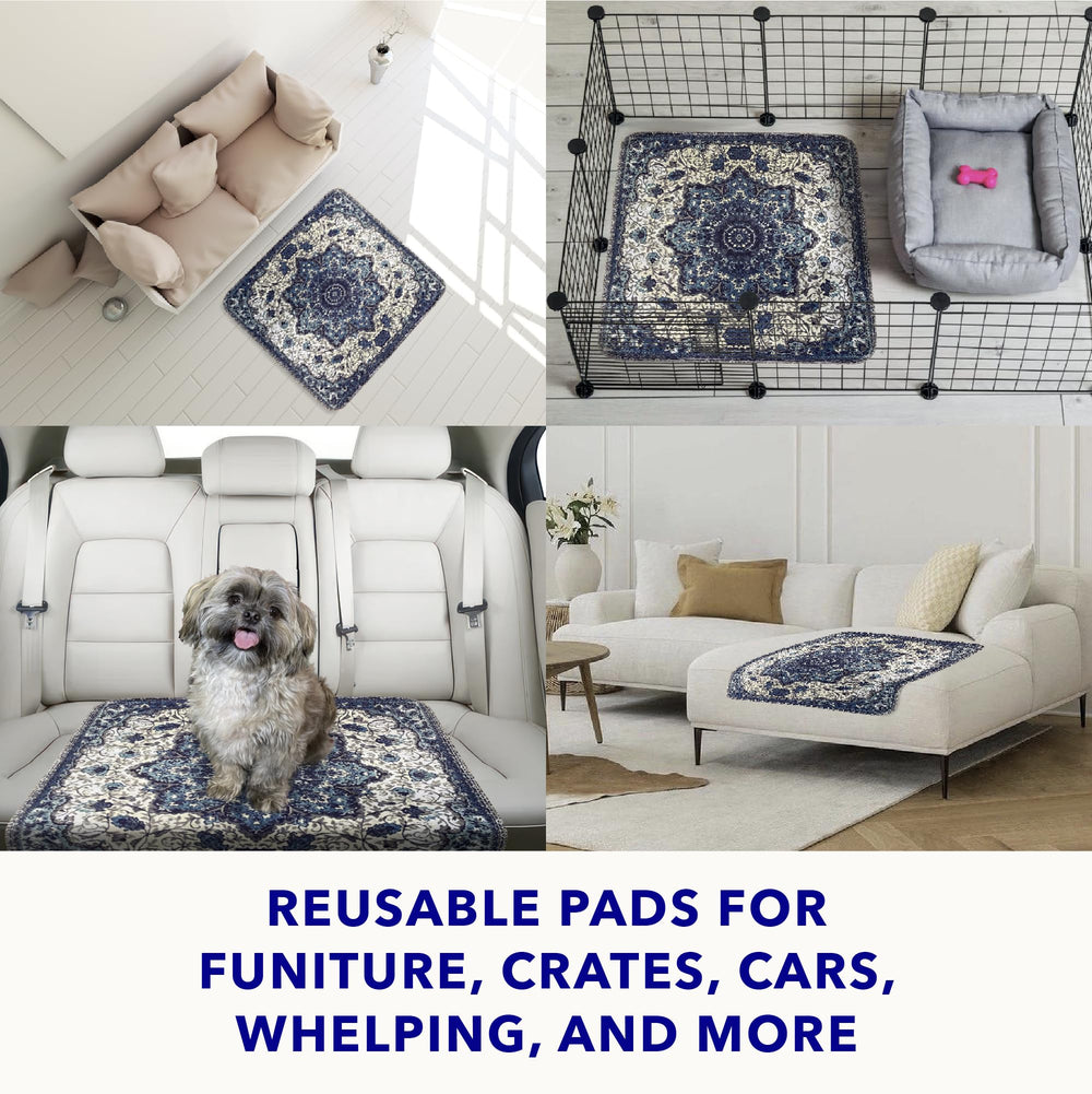 PUPIBOO uso para transporte, ideal para coche y viajes con mascotas.