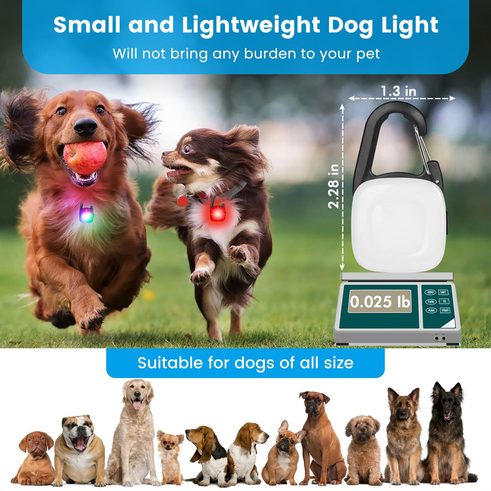 PUPKOLI luz collar impermeable, rendimiento fiable en lluvia