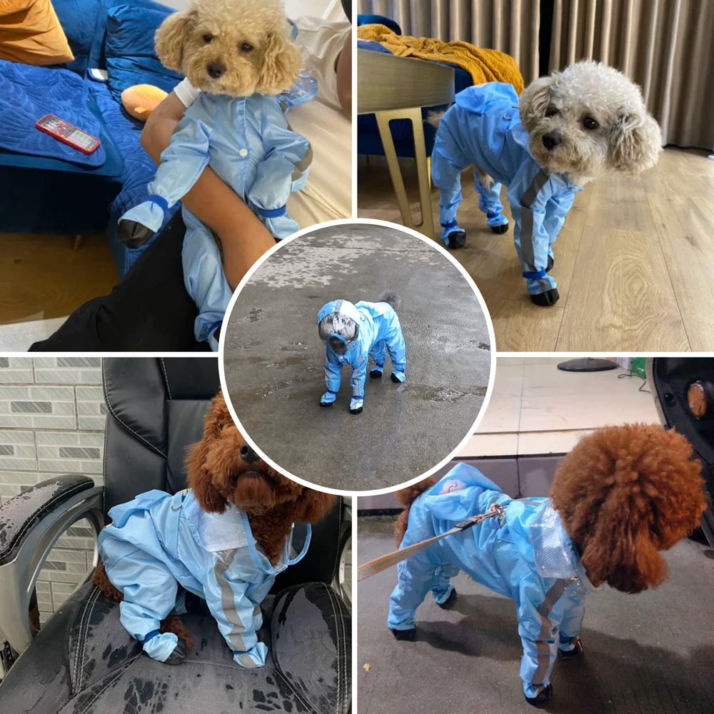 PupMist material impermeable y secado rápido mantiene al perro cómodo.