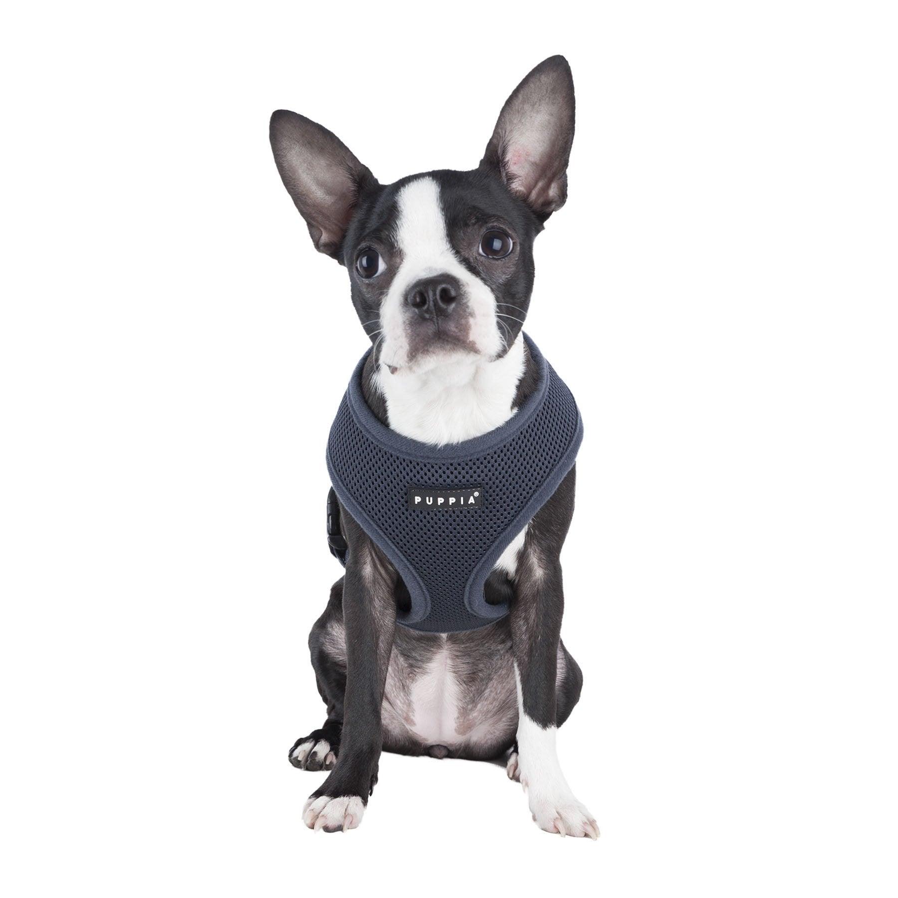 Detalle del cinturón de pecho ajustable del arnés Puppia gris X-Small.