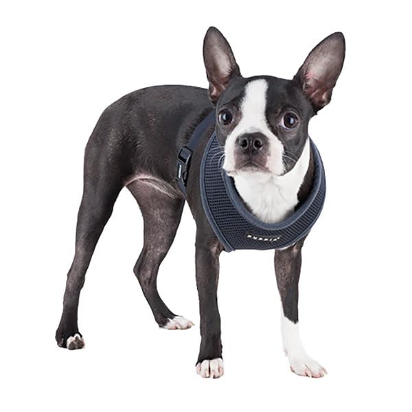 Detalle del cuello acolchado del arnés Puppia gris X-Small.