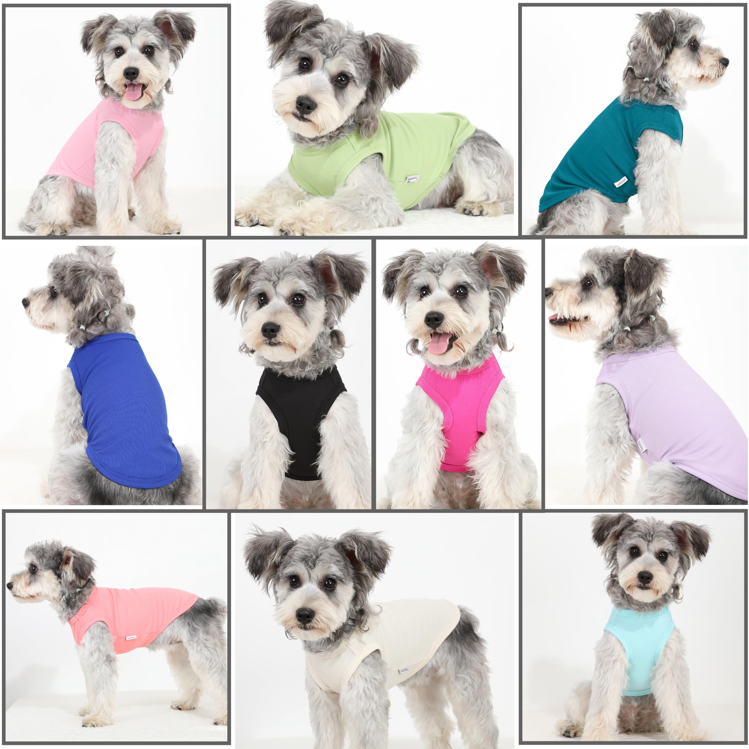 Puppishy diseño fácil de poner, ideal para perros pequeños.