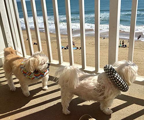 Puppy Bumpers Tossed Donuts: lavado fácil para uso diario