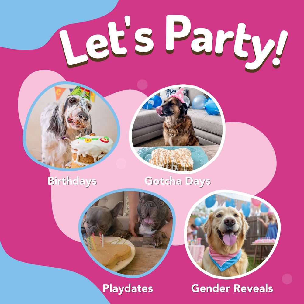 Puppy Cake: forma de hueso, presentación divertida del pastel.