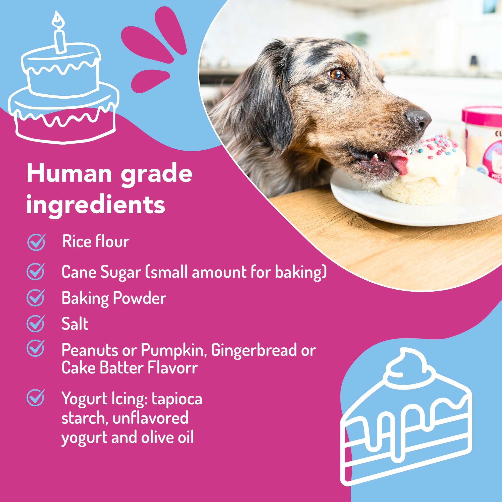 Puppy Cake: preparación rápida en 2 minutos para la fiesta del perro.