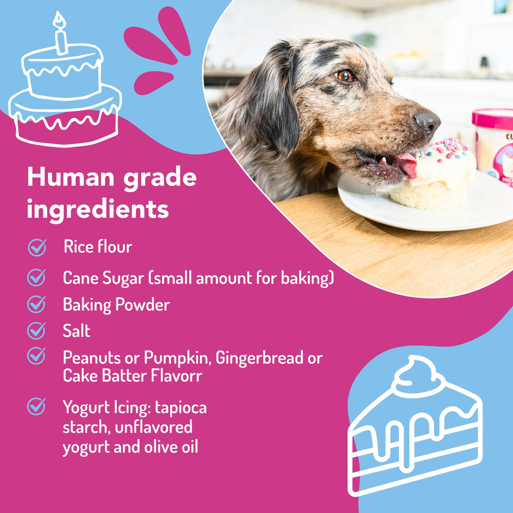 Puppy Cake: preparación rápida en 2 minutos para la fiesta del perro.