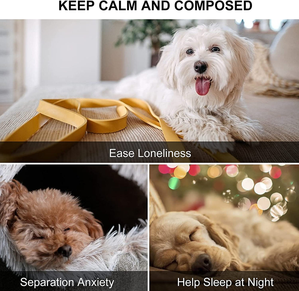 PUPPY KNOW Diseño seguro y duradero para perros activos