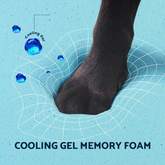 Funda desmontable de PUPPY PAW y lavable a máquina para limpieza fácil