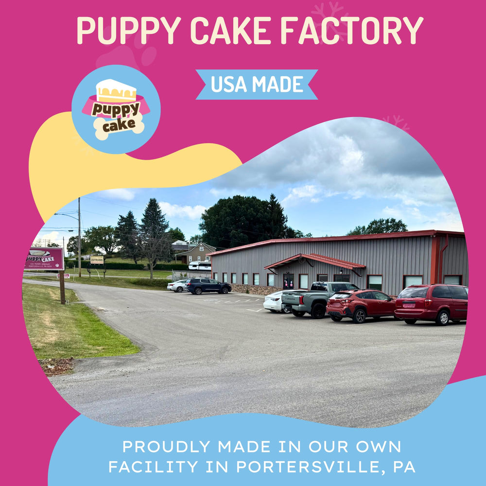 Puppy Scoops: empaque para servir helado de perro y mantenerlo frío.