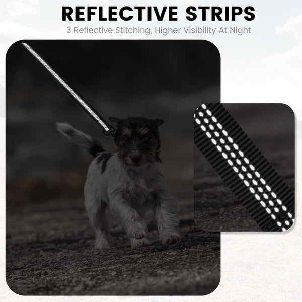 PuppyDoggy correa para uso nocturno con reflectante y mayor seguridad.