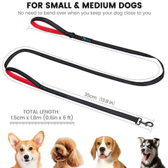 PuppyDoggy doble mango acolchado facilita el control cómodo durante paseos