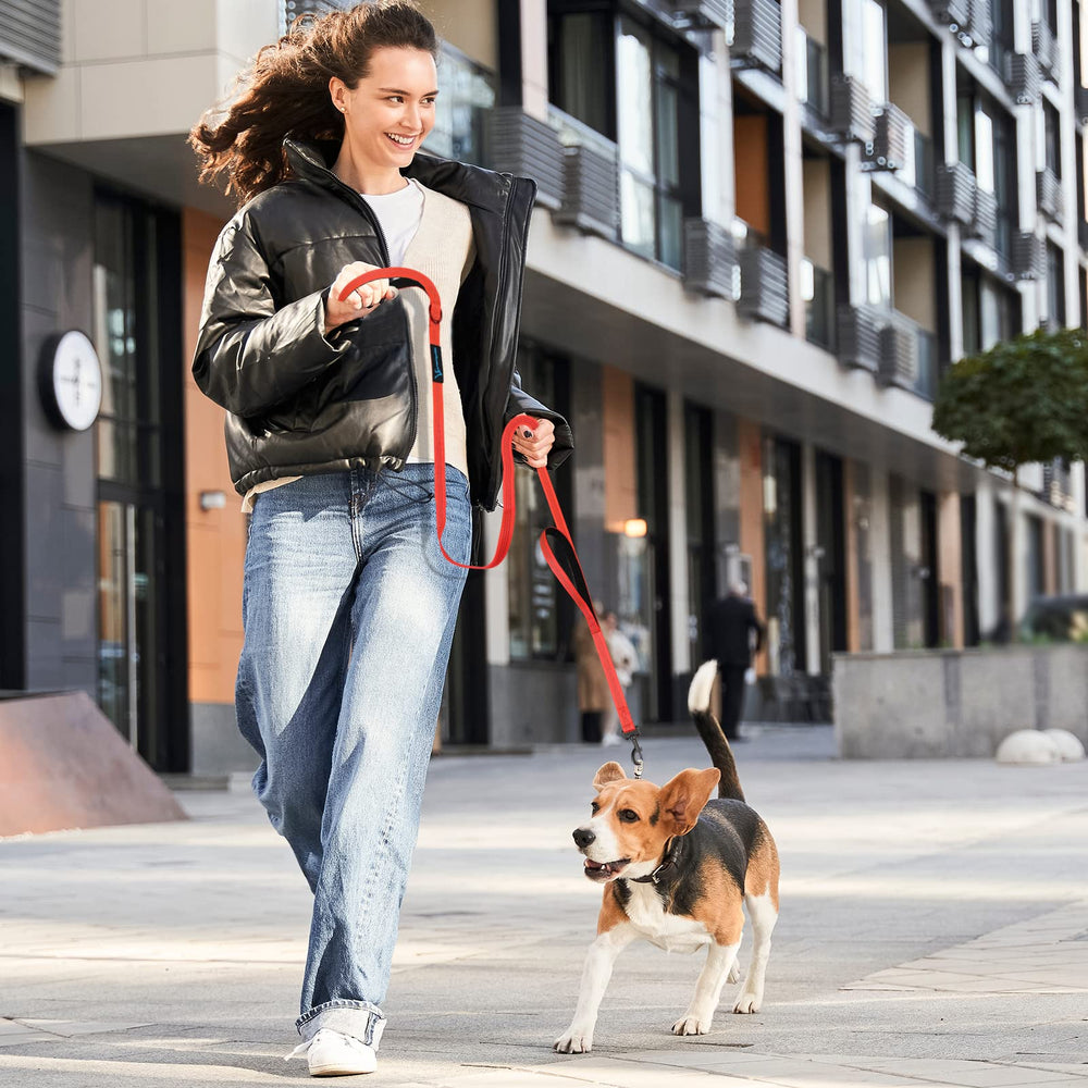 PuppyDoggy uso cómodo para entrenamiento y paseos diarios