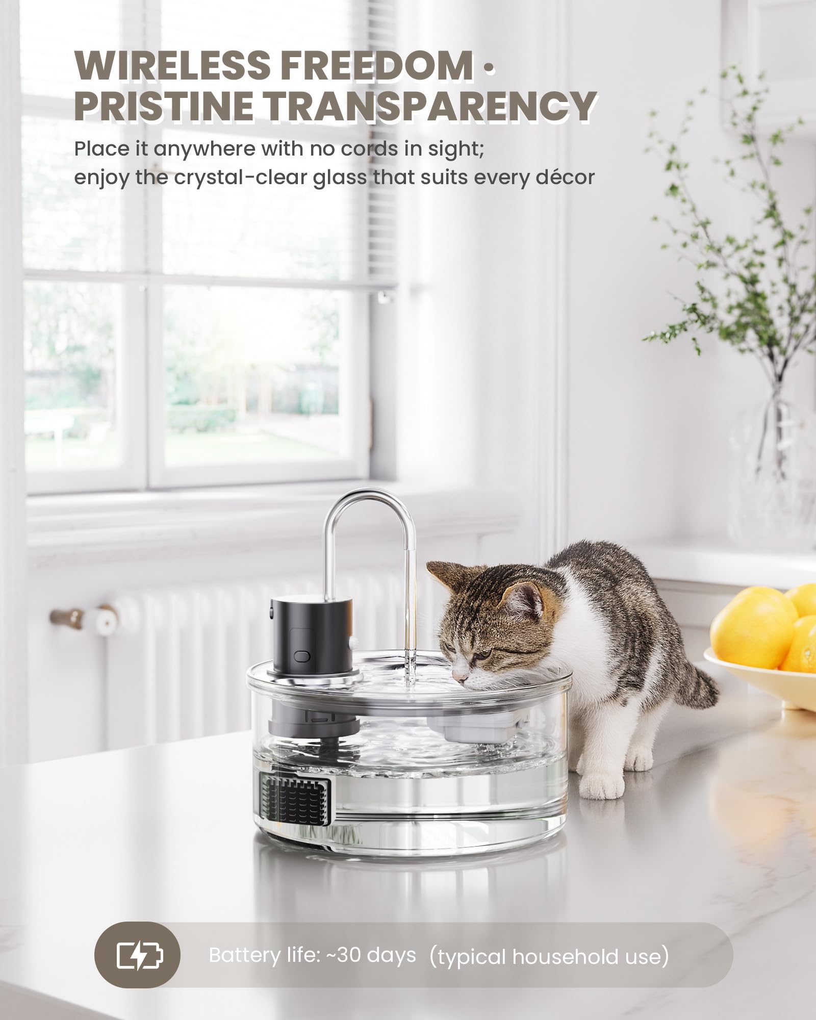 Motor ultra silencioso de Puppyspout para convivencia tranquila con tu gato.