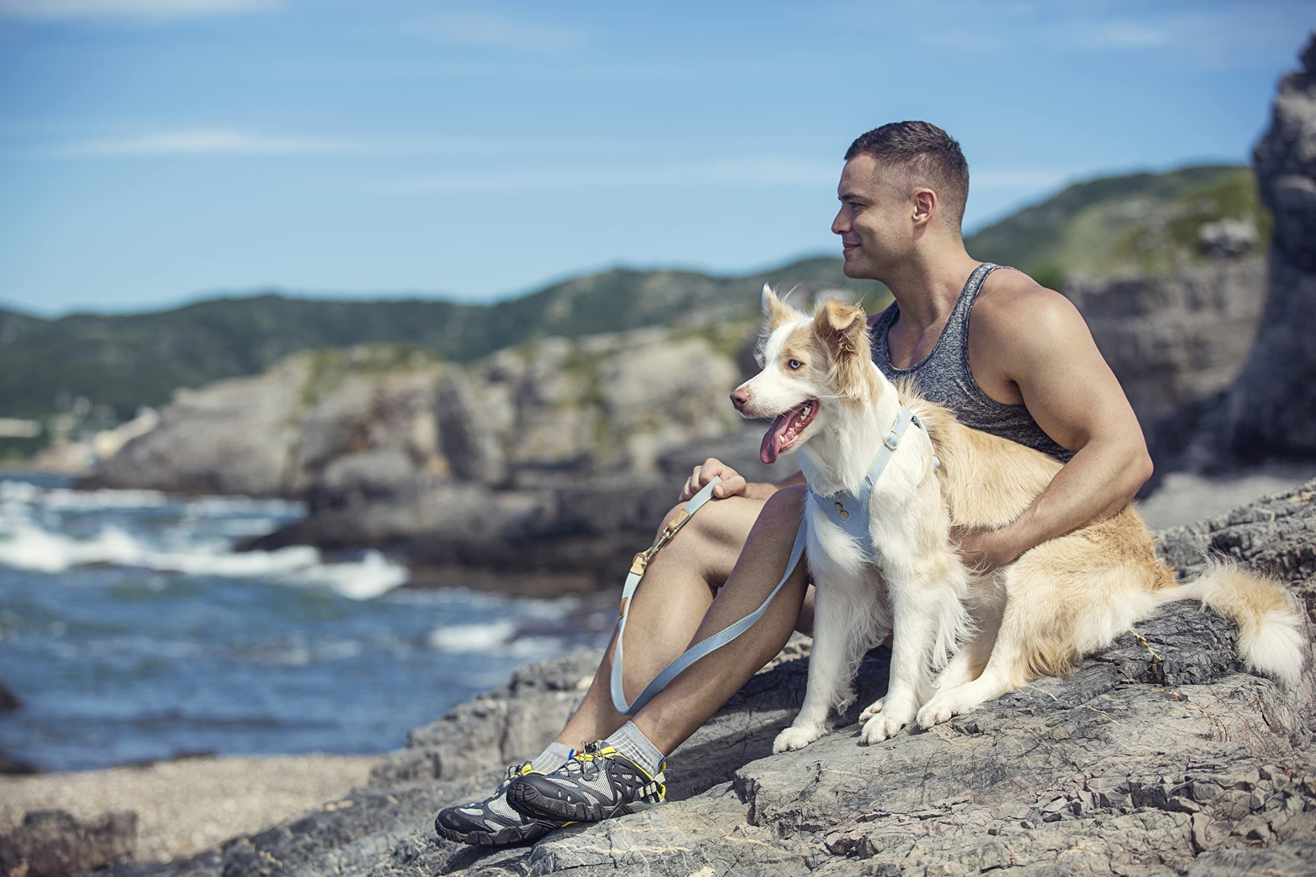 Puppytie accesorios gancho para bolsas y entrenamiento.