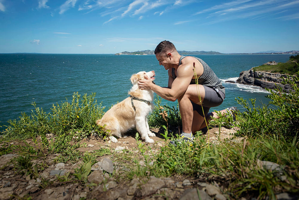 Puppytie arnés camuflaje verde, diseño cómodo para paseos diarios