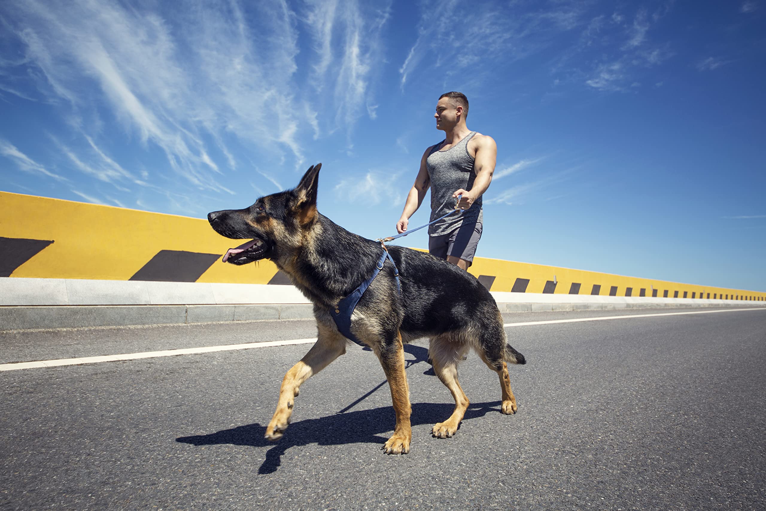 Arnés Puppytie para perros medianos con tejido Oxford resistente.