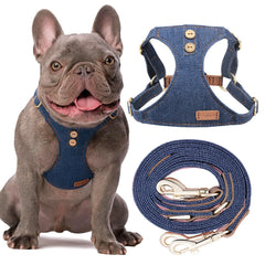 Puppytie arnés sin tirones en denim azul para paseos cómodos.