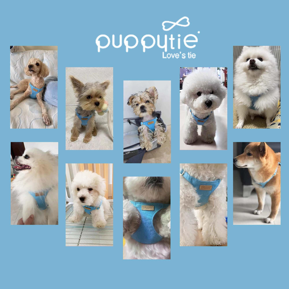 Puppytie arnés XS equipado con accesorios prácticos para llaves y bolsas.