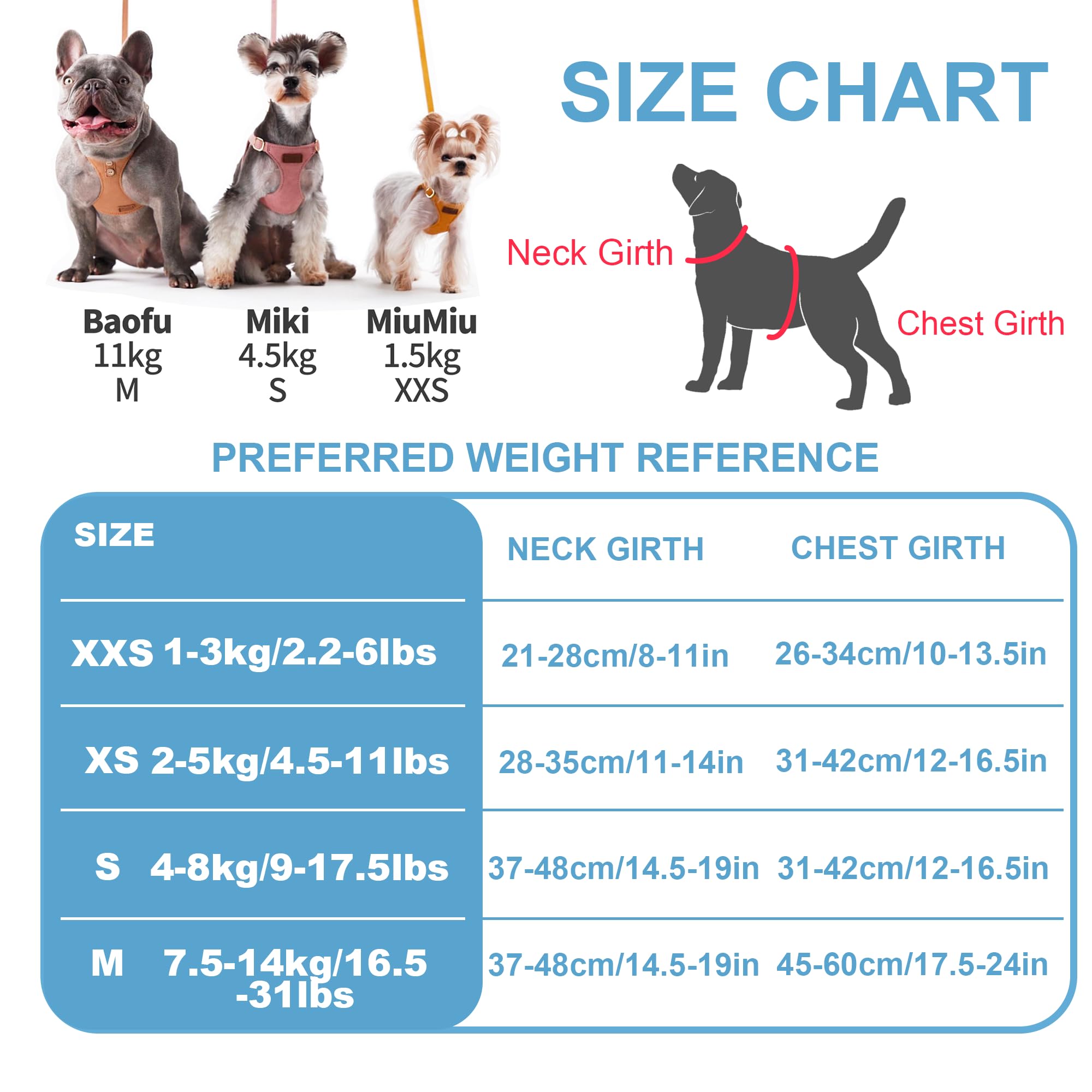 Puppytie arnés XS con dos longitudes de correa para gestionar dos perros.
